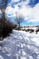sentier de montagne enneigé