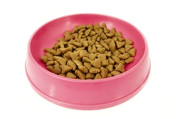 Dry cat food in pink bowl isolated on white
