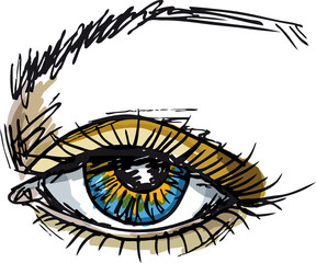female blue eye. Vector illustration