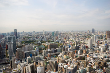 View  of the city, Tokyo, Japan