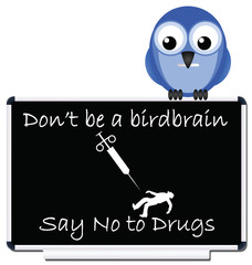 Do not be a birdbrain flu prevention message