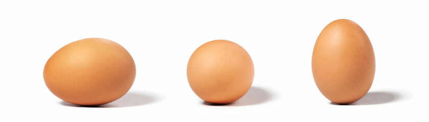 eggs on white background