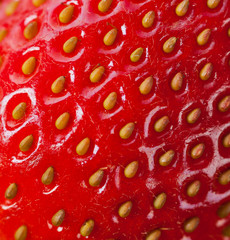 Extreme macro of strawberry
