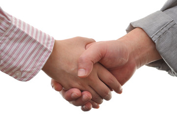 Hand shake between a businessman and a businesswoman