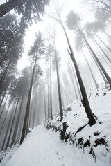 Polskie góry zimą. Beskid Żywiecki - Mała Rycerzowa. © jacekbieniek