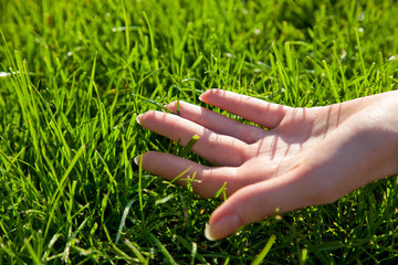 Hand with grass
