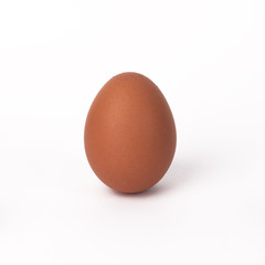 Egg on White Background