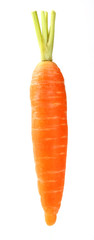 One carrot