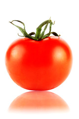 One perfect tomatos