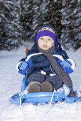 baby in sled