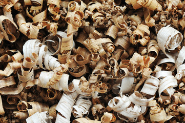 close up of a pile of wood chips - obrazy, fototapety, plakaty
