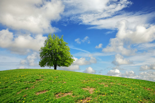 Spring ecoland