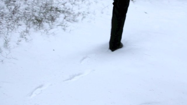 Schritte im Schnee