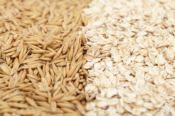 oat and oatmeal