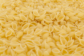 pasta - conchiglioni