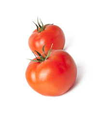 tomatoes on white background