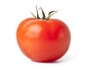 tomatoes on white background