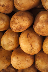 potatoes