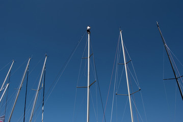 seven masts one sailor