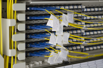 Bunch of yellow fiber-optic cables with blue connectors. - 38020196
