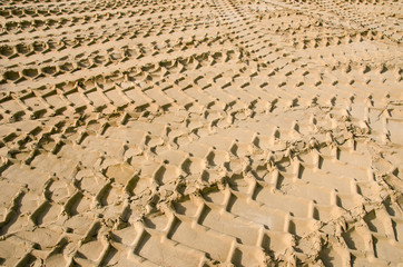 Fototapeta premium Car wheel mark sand. Transport concept background