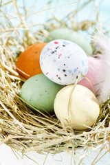 Naklejka na ściany i meble Easter chocolate eggs in the nest
