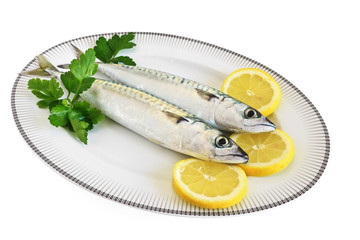 plate with two mackerels - piatto con sgombri