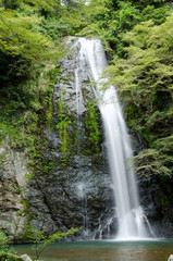 Water fall at the Mino Quasi National Park in Japan