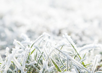 Frosty winter background with copy space