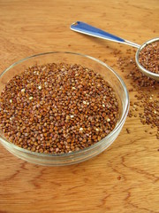 Roter Quinoa