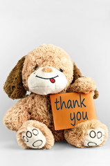 Thank you message and toy