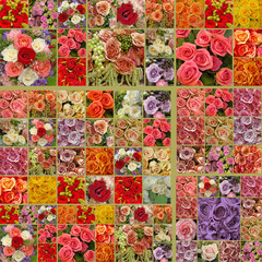 collage with plenty roses