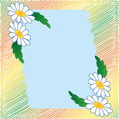 frame with daisies