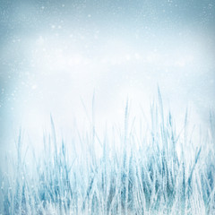 Winter  nature background with frozen grass