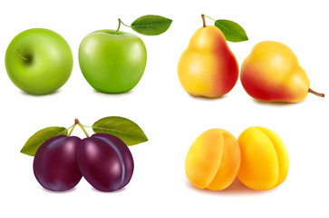 Group with different sorts of fruit. Vector. - obrazy, fototapety, plakaty