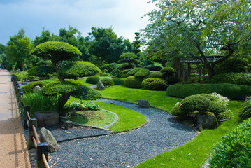 Naklejka premium japanese garden topiary