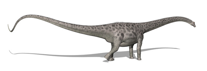 Diplodocus Dinosaur