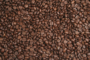 textura café (fondo)