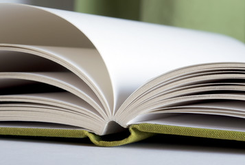 Grünes Buch mit leeren Seiten