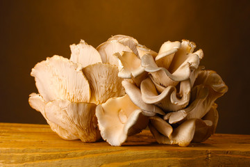 oyster mushrooms wooden table on brown background