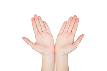 Woman hands isolated