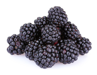 beautiful blackberries isolated on white
