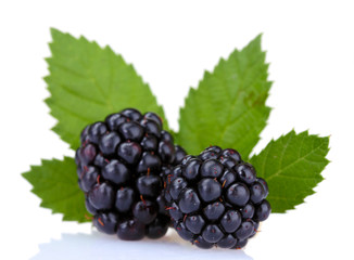 beautiful blackberries isolated on white