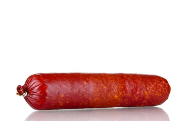 Tasty sausage isolated on white