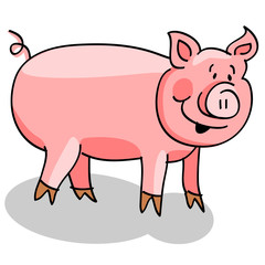 Pig cartoon on white