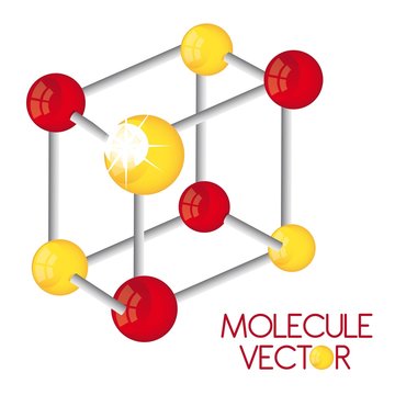 molecule vector