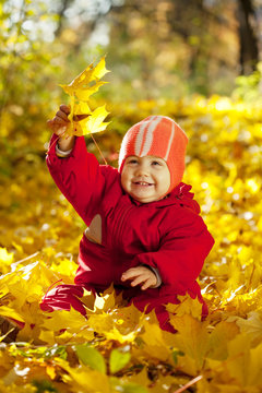 Toddler  with maple leaves in autumn