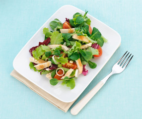Pollo in insalata