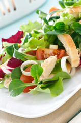 Pollo in insalata, close-up