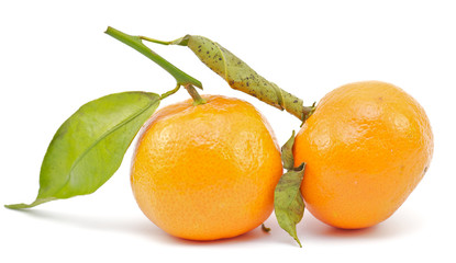 Mandarin Orange